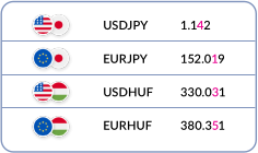 06.Forex_Terminology