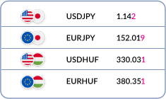 09.Forex_Terminology